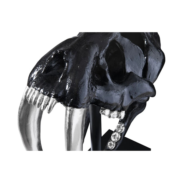 Black Saber Tooth Tiger Skull