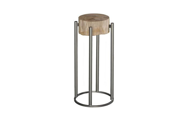 Petrified Wood Side Table
