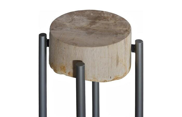 Petrified Wood Side Table