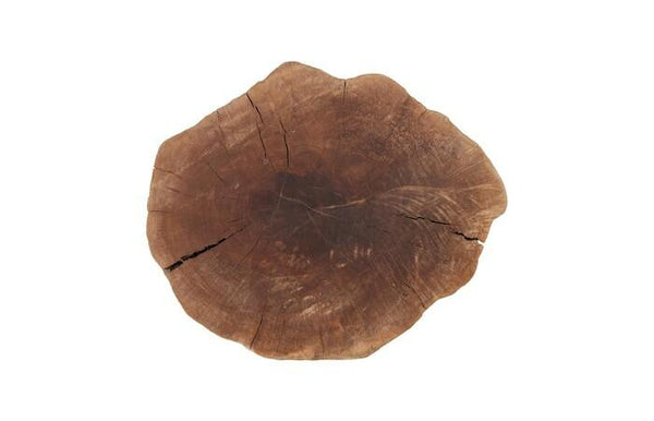 Longan Fruit Tree Stump Stool