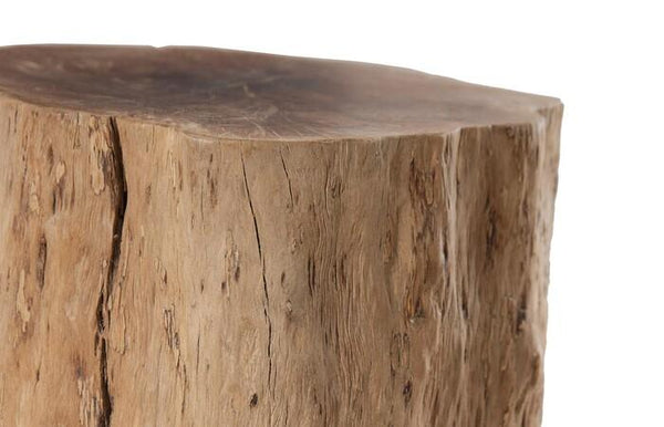 Longan Fruit Tree Stump Stool