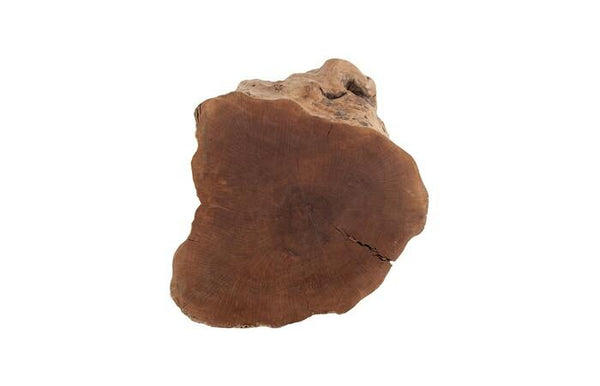 Longan Fruit Tree Stump Stool