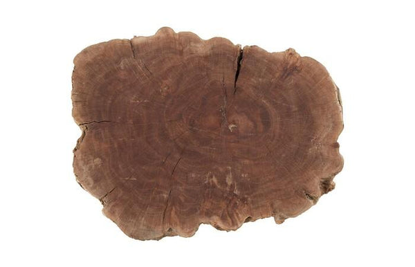 Longan Fruit Tree Stump Stool