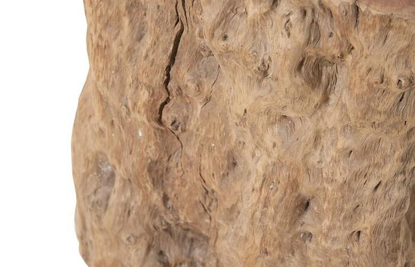 Longan Fruit Tree Stump Stool