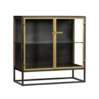 Iron & Glass 2 Door Cabinet