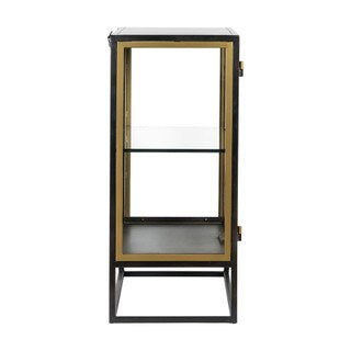 Iron & Glass 2 Door Cabinet