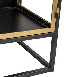 Iron & Glass 2 Door Cabinet