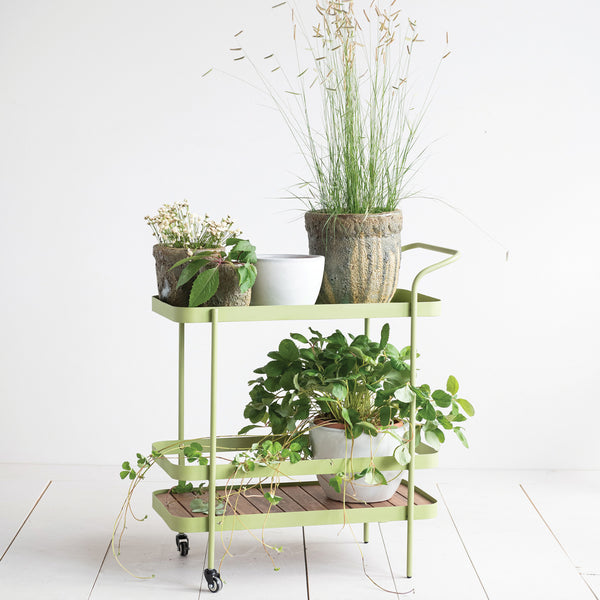 Metal & Acacia Wood Bar Cart