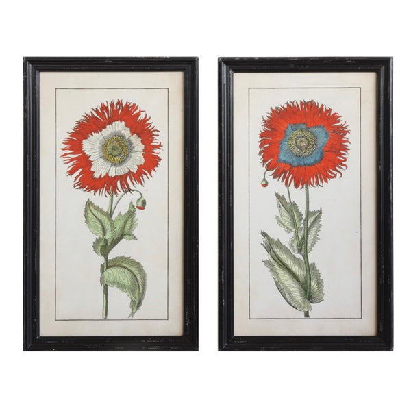 Framed Flower Set of 2