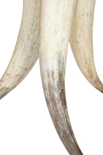 Cow Horn Table w/ Cream Cowhide Top