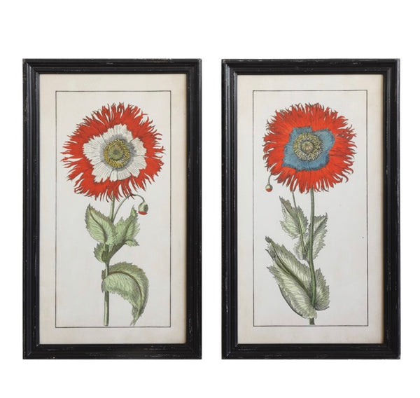 Framed Flower Set of 2